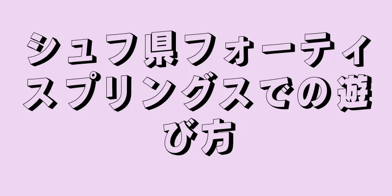 シュフ県フォーティスプリングスでの遊び方