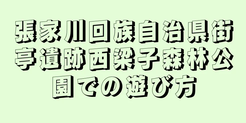 張家川回族自治県街亭遺跡西梁子森林公園での遊び方