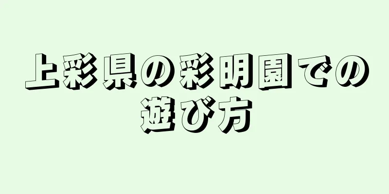 上彩県の彩明園での遊び方