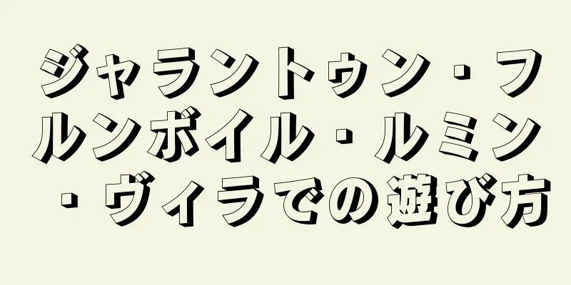 ジャラントゥン・フルンボイル・ルミン・ヴィラでの遊び方