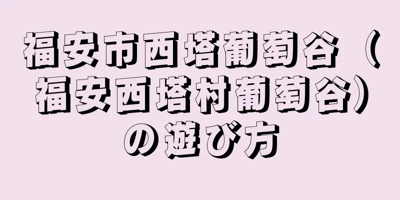 福安市西塔葡萄谷（福安西塔村葡萄谷）の遊び方