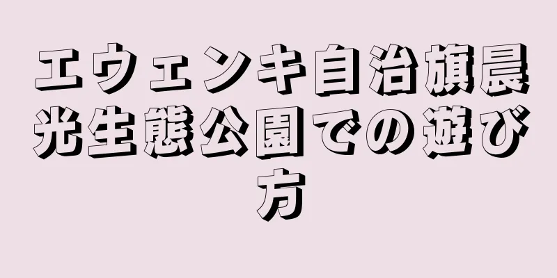 エウェンキ自治旗晨光生態公園での遊び方