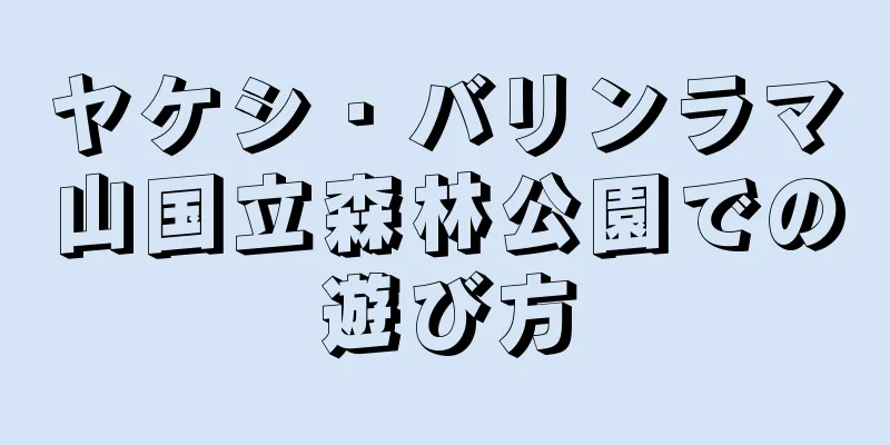 ヤケシ・バリンラマ山国立森林公園での遊び方