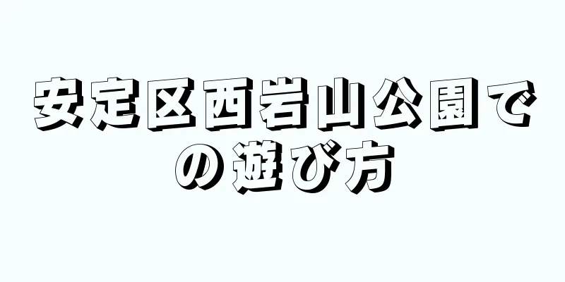 安定区西岩山公園での遊び方