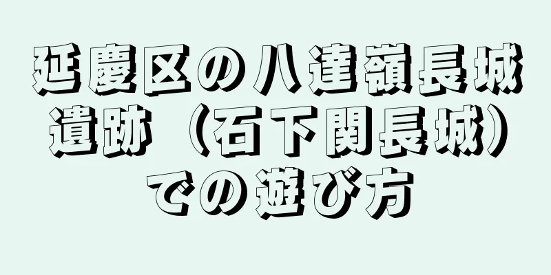 延慶区の八達嶺長城遺跡（石下関長城）での遊び方