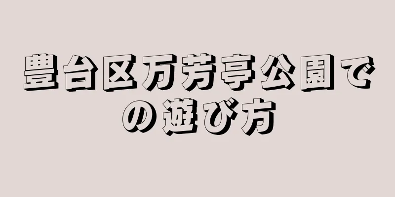 豊台区万芳亭公園での遊び方