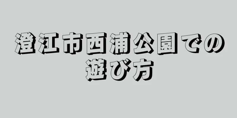 澄江市西浦公園での遊び方