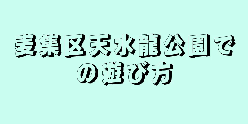 麦集区天水龍公園での遊び方