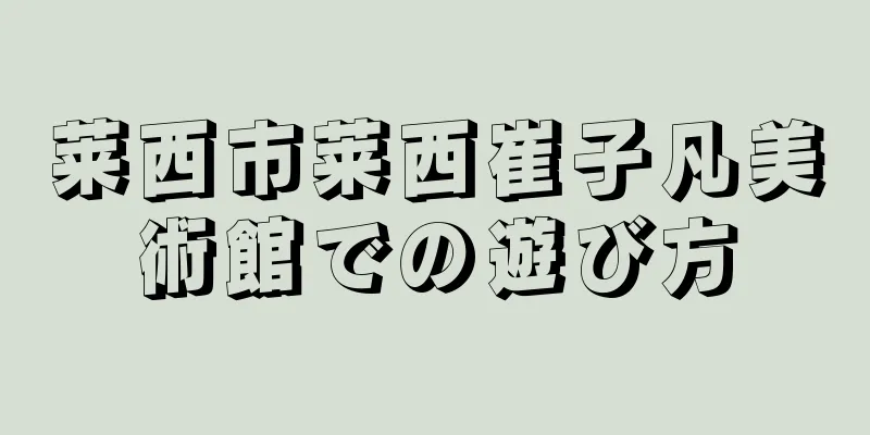 莱西市莱西崔子凡美術館での遊び方
