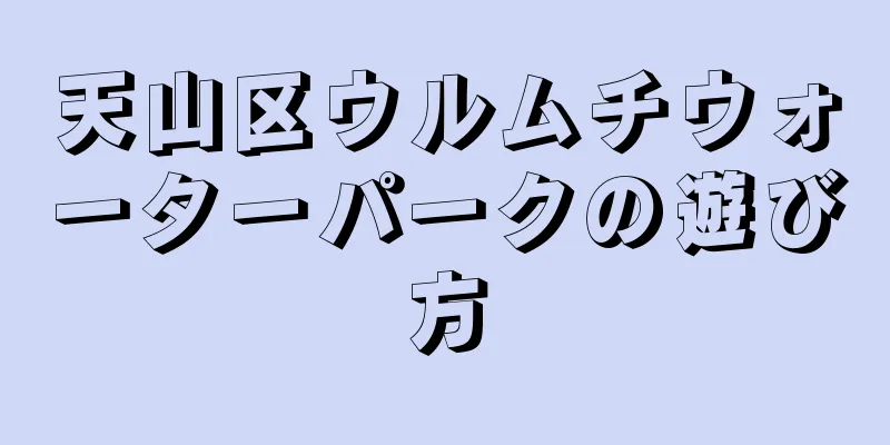 天山区ウルムチウォーターパークの遊び方
