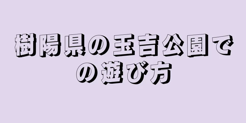 樹陽県の玉吉公園での遊び方