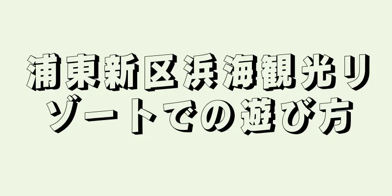浦東新区浜海観光リゾートでの遊び方