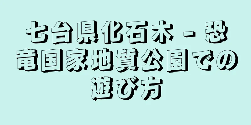 七台県化石木 - 恐竜国家地質公園での遊び方