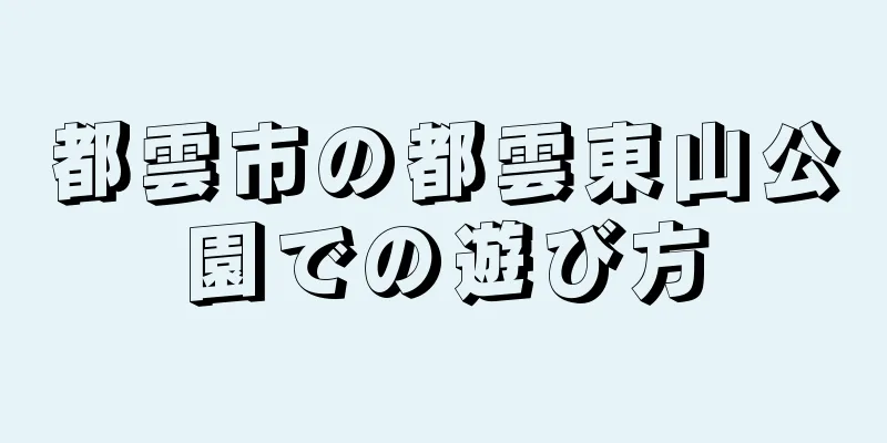 都雲市の都雲東山公園での遊び方