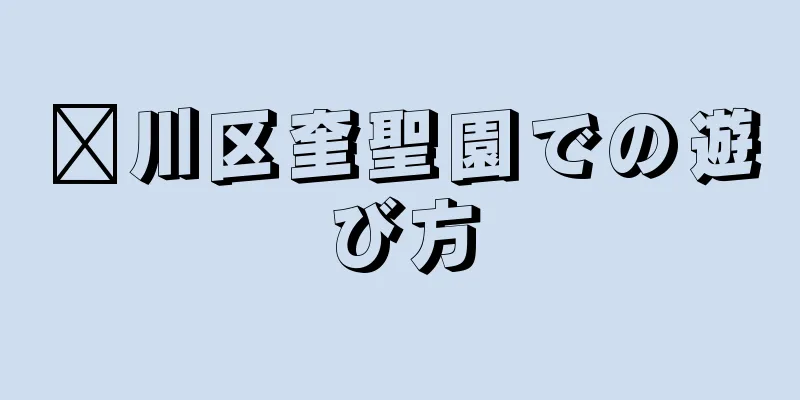 淄川区奎聖園での遊び方