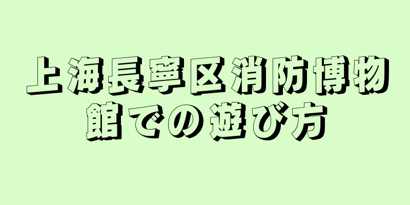 上海長寧区消防博物館での遊び方