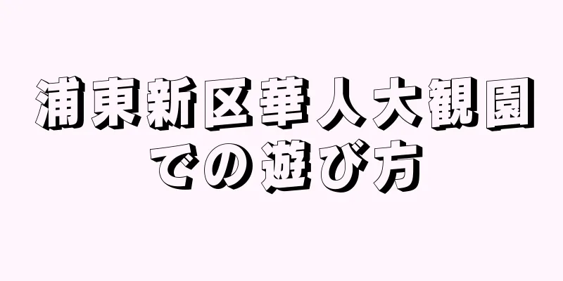浦東新区華人大観園での遊び方