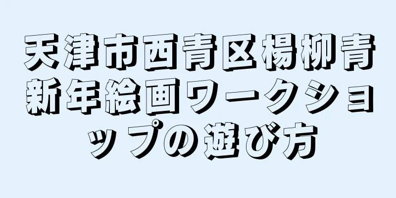 天津市西青区楊柳青新年絵画ワークショップの遊び方