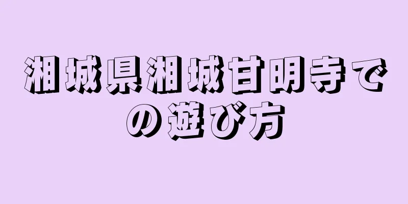 湘城県湘城甘明寺での遊び方