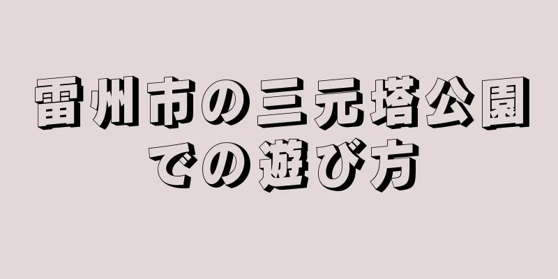 雷州市の三元塔公園での遊び方