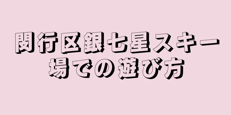 閔行区銀七星スキー場での遊び方