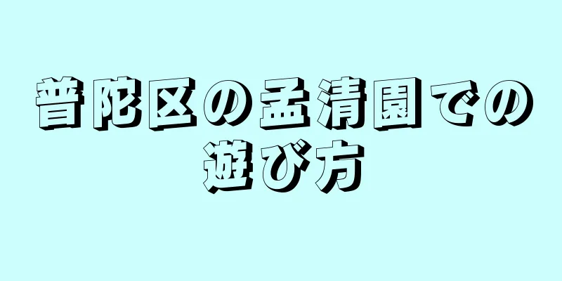普陀区の孟清園での遊び方