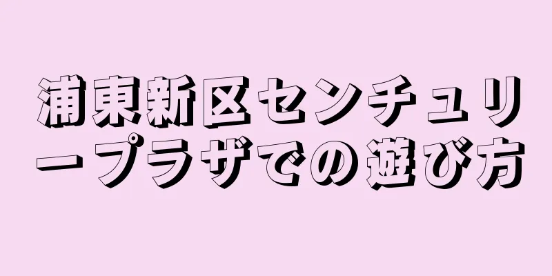 浦東新区センチュリープラザでの遊び方