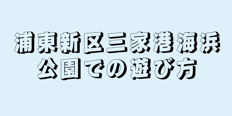 浦東新区三家港海浜公園での遊び方