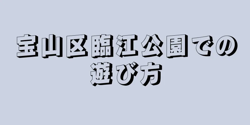 宝山区臨江公園での遊び方