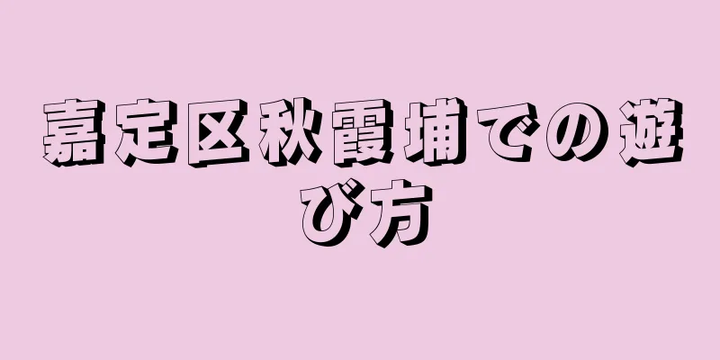 嘉定区秋霞埔での遊び方