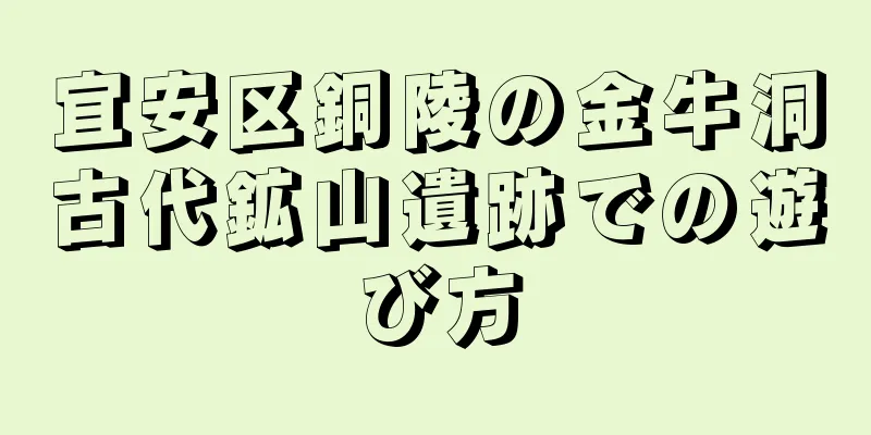 宜安区銅陵の金牛洞古代鉱山遺跡での遊び方