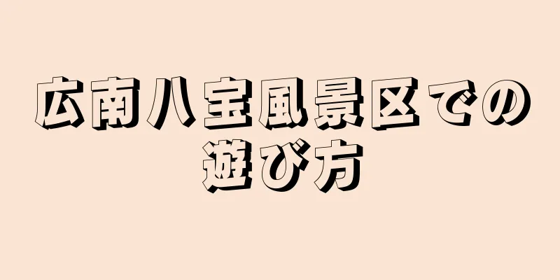広南八宝風景区での遊び方