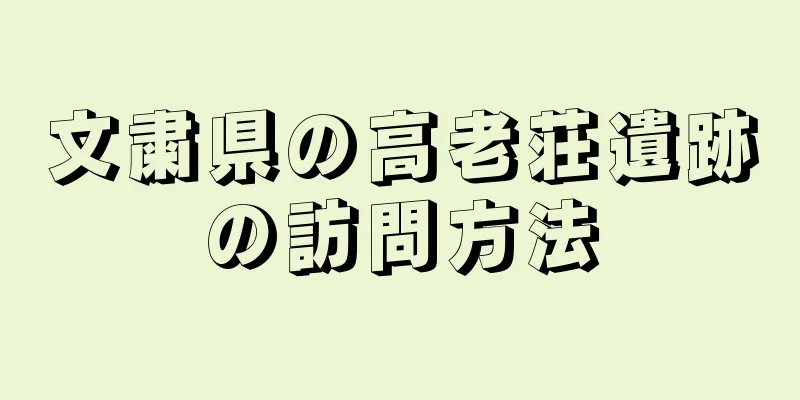 文粛県の高老荘遺跡の訪問方法