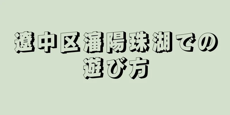 遼中区瀋陽珠湖での遊び方