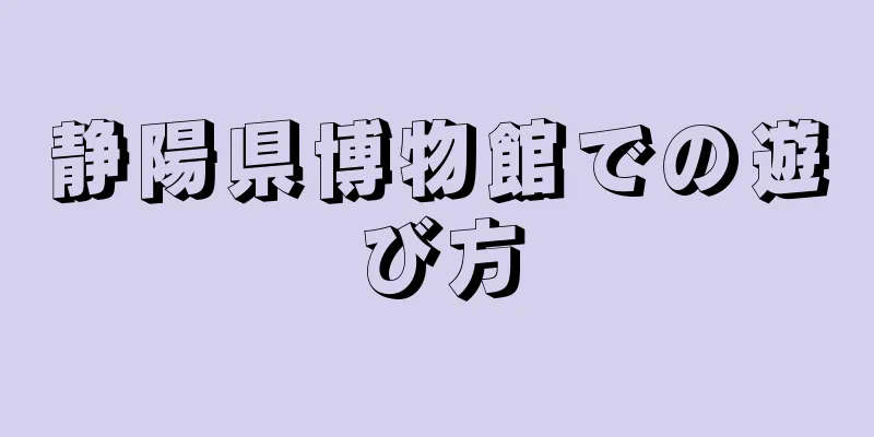 静陽県博物館での遊び方