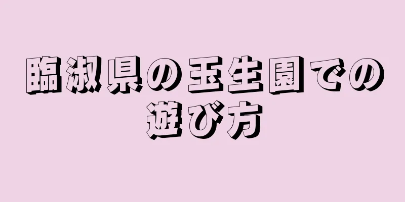 臨淑県の玉生園での遊び方