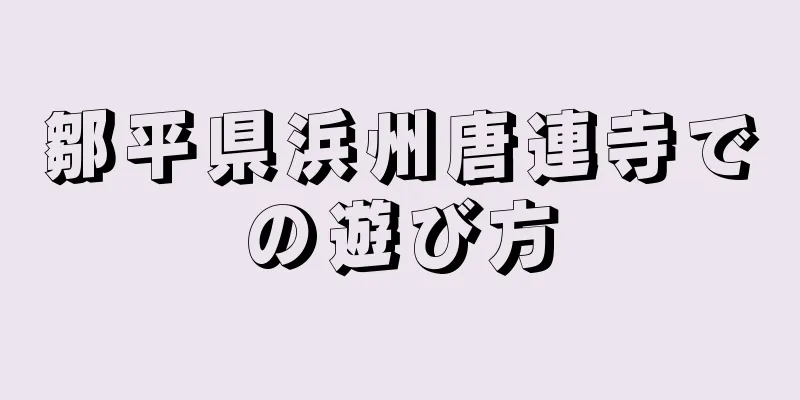 鄒平県浜州唐連寺での遊び方