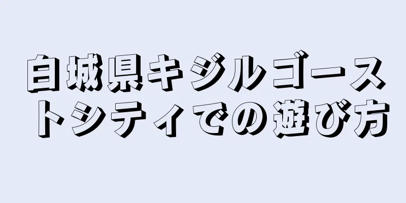 白城県キジルゴーストシティでの遊び方