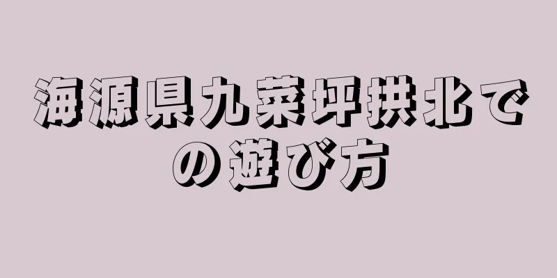 海源県九菜坪拱北での遊び方