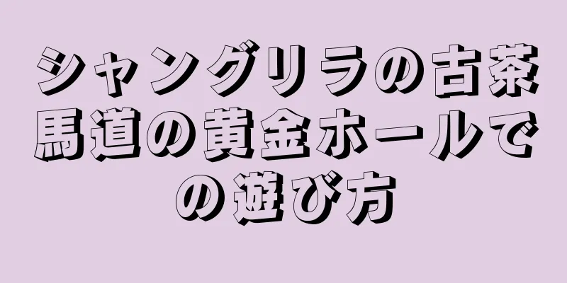 シャングリラの古茶馬道の黄金ホールでの遊び方