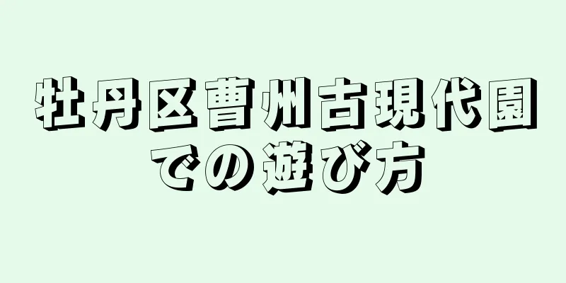 牡丹区曹州古現代園での遊び方