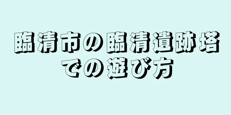 臨清市の臨清遺跡塔での遊び方