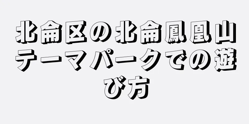 北侖区の北侖鳳凰山テーマパークでの遊び方