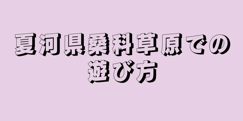 夏河県桑科草原での遊び方