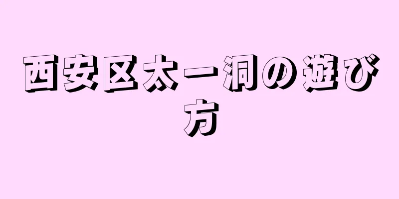 西安区太一洞の遊び方