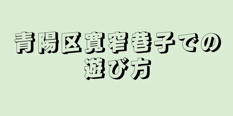 青陽区寛窄巷子での遊び方