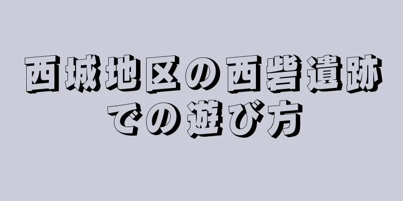 西城地区の西砦遺跡での遊び方