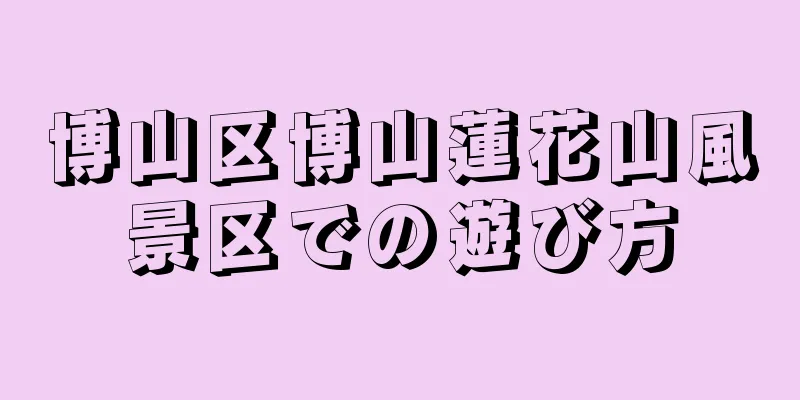 博山区博山蓮花山風景区での遊び方