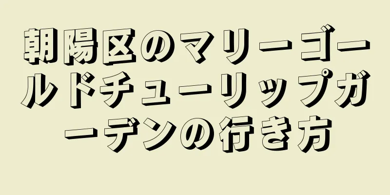 朝陽区のマリーゴールドチューリップガーデンの行き方