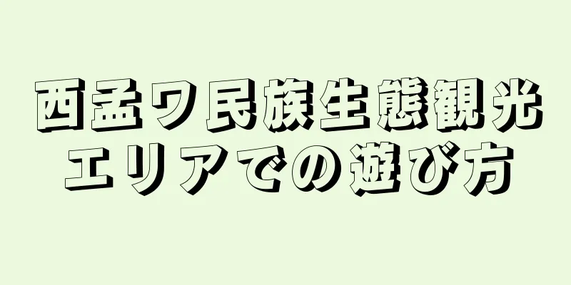 西孟ワ民族生態観光エリアでの遊び方
